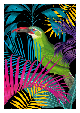 Ecstatic Jungle Of Colours Toucan Black