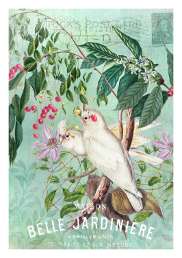 Exotic Cockatoo Garden