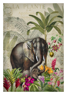 Exotic Elephant Garden