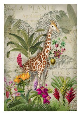 Exotic Giraffe Garden
