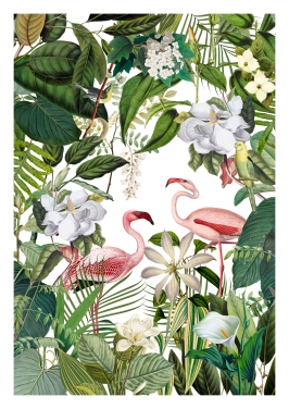 Flamingo Jungle Paradise