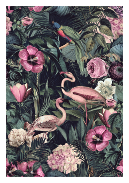 Flamingo Midnight Jungle