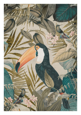 Jungle Toucan II