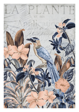 Les Plantes Des Tropiques 