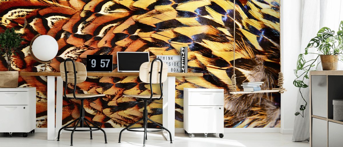 Chicken Feathers Wallpaper | Wallsauce US