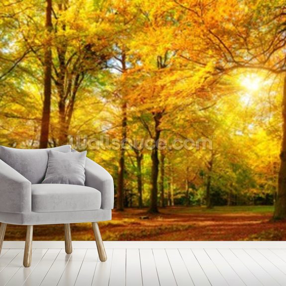 Herbst Wald Panorama im Sonnenschein Wallpaper | Wallsauce UK