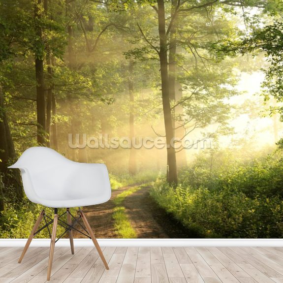 Deciduous Forest on a Foggy Morning Wallpaper | Wallsauce UK