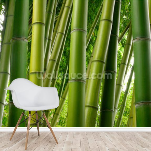 Papier Peint Bamboo Wallsauce FR