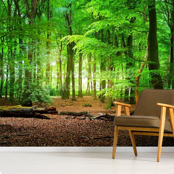 Magical Forest Wallpaper | Wallsauce UK