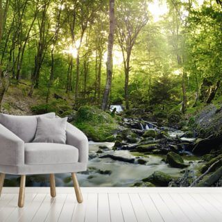 Forest Wallpaper Tree Wallpaper Murals Wallsauce Au