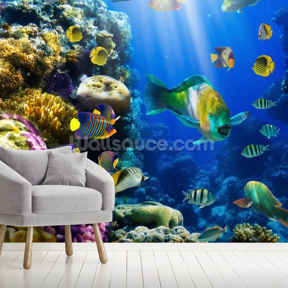 Coral Colony and Coral Fish Wallpaper | Wallsauce UK