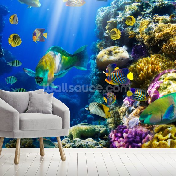 Coral Colony and Coral Fish Wallpaper | Wallsauce US