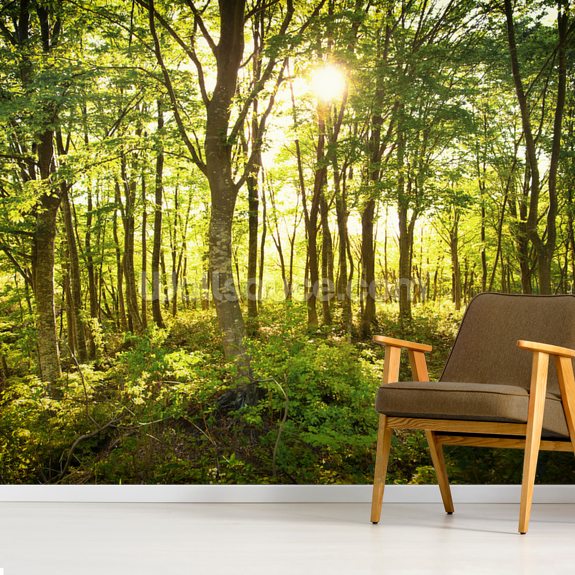 Enchanted Woodland Wallpaper Mural | Wallsauce EU