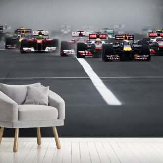 Formula 1 Wallpaper & Wall Murals | Wallsauce UK