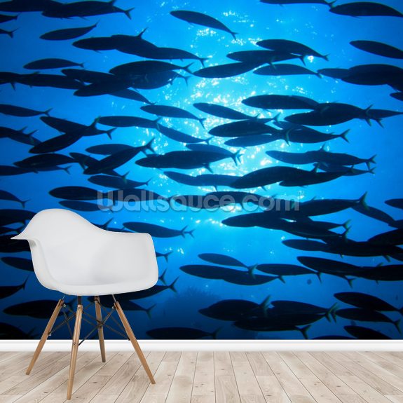 School Of Fish Wallpaper Mural Wallsauce Usa