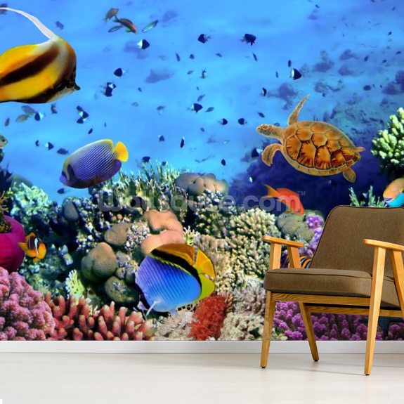 Coral Colony on a Reef Wallpaper | Wallsauce UK