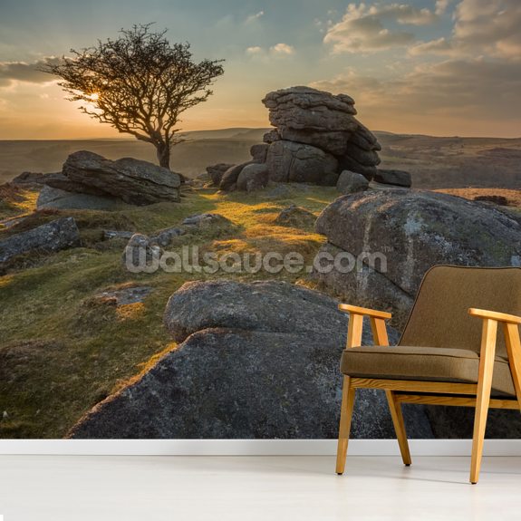 Dartmoor Royalty-Free Images, Stock Photos & Pictures | Shutterstock