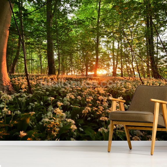 Sunlight Glow over Forest Flowers Wallpaper Mural | Wallsauce UK