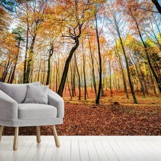 Forest Wallpaper & Tree Wallpaper Murals | Wallsauce UK