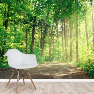 Autumn Forest Panoramic Wallpaper | Wallsauce UK