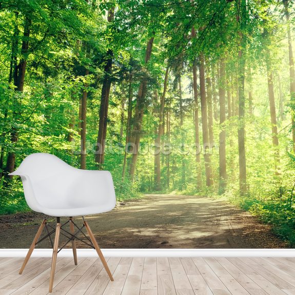 Forest Track Sunlight Wallpaper | Wallsauce UK