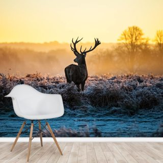 Stag Wallpaper & Deer Wallpaper | Wallsauce UK