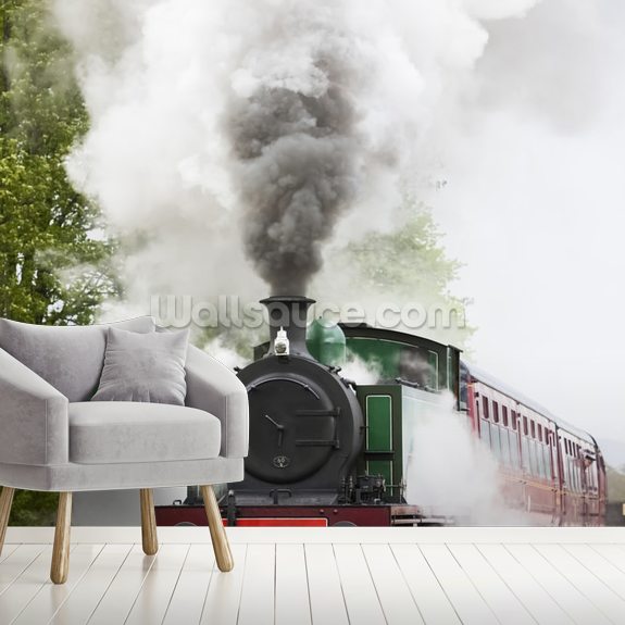 Steam Train in Motion Wallpaper Mural | Wallsauce UK