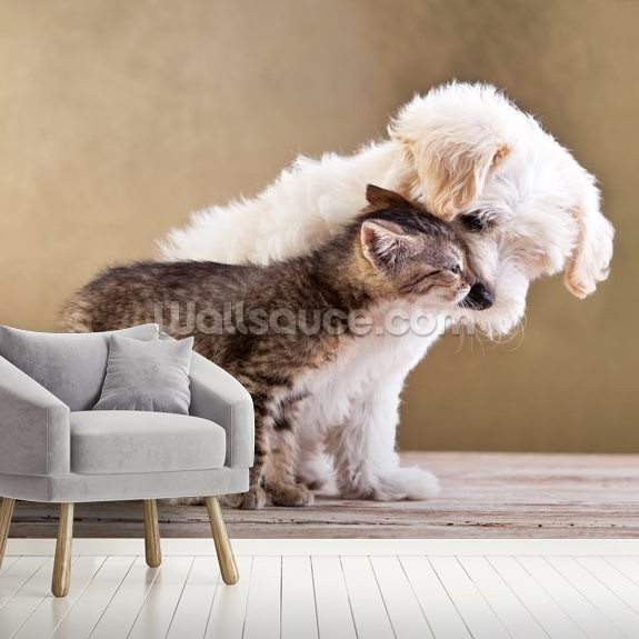 Dog and Cat Wallpaper Mural | Wallsauce US