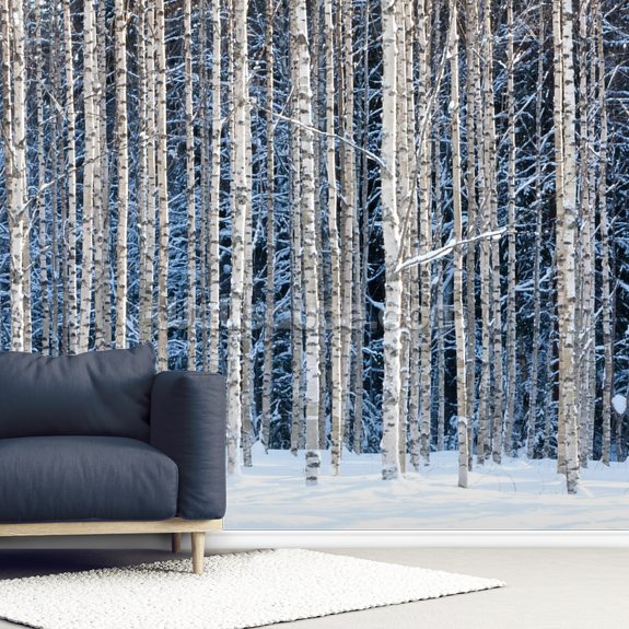 Snowy Birch Forest Wallpaper Mural | Wallsauce CA