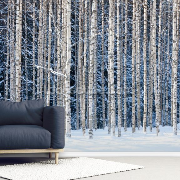 Snowy Birch Forest Wallpaper | Wallsauce US