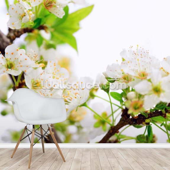 Plum Tree Flower Wallpaper | Wallsauce CA