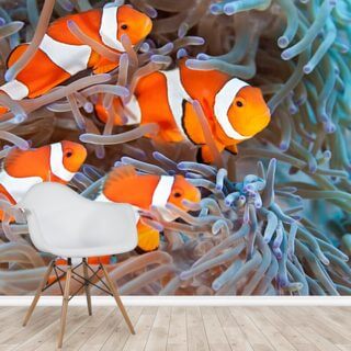 Fish Wallpaper Sea Life Wall Murals Wallsauce Us