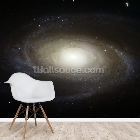 Fondo De Pantalla Grand Design Spiral Galaxy M81 Wallsauce Es 7181