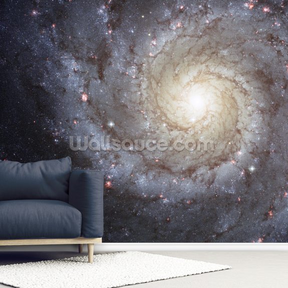 Spiral Galaxy M74 Mural Wallpapers Wallsauce Us 8773