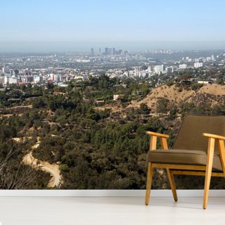 Los Angeles Wallpaper & LA Wall Murals | Wallsauce USA