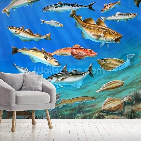 Sea Fish Wall Mural | Wallsauce UK