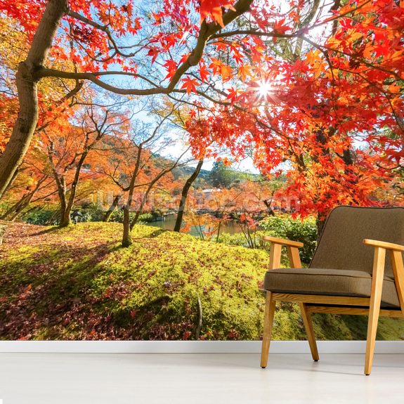 Herfstscène met rode bomen behang Wallsauce NL