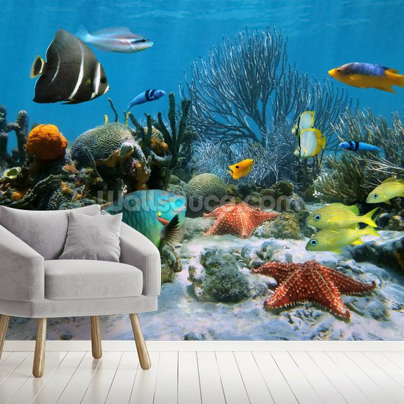 Coral Reef Wallpaper Mural | Wallsauce UK