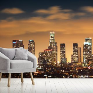 Los Angeles Wallpaper & LA Wall Murals | Wallsauce USA