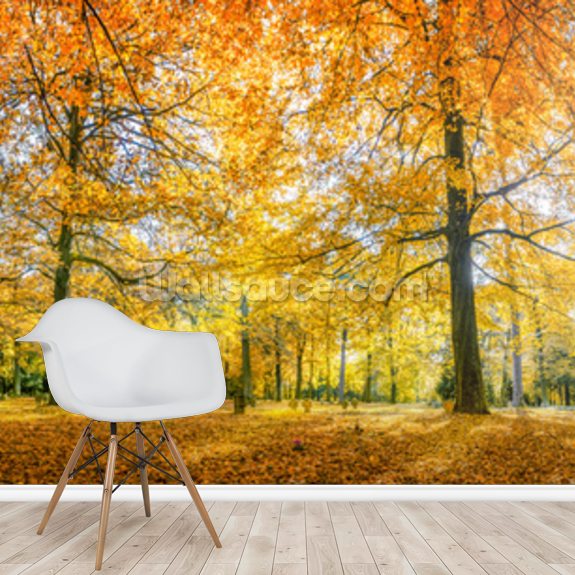 Herbstwald Panorama Wallpaper Wallsauce Eu