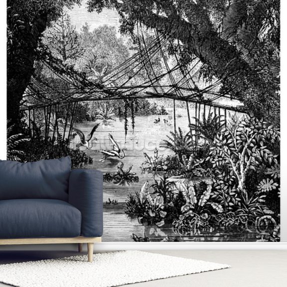 Bilderwelten Wallpaper - Forest Copperplate Engraving, Non-Woven Fabric  Premium, Dimension HxW: 290x432 cm - Amazon.com