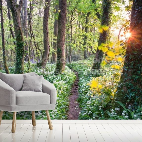 Wild Garlic Woodland | Wallsauce UK