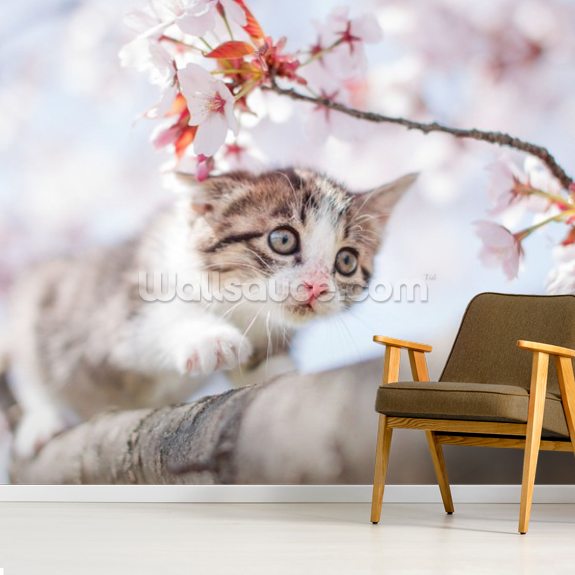 Kitten Under Flowers Wall Mural | Wallsauce UK