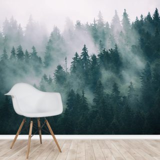 Forest Wallpaper Tree Wallpaper Murals Wallsauce Au