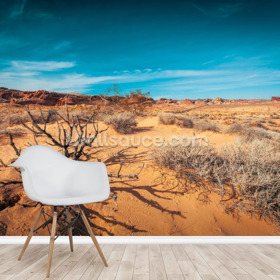 Valley of Fire Desert Wall Mural | Wallsauce US