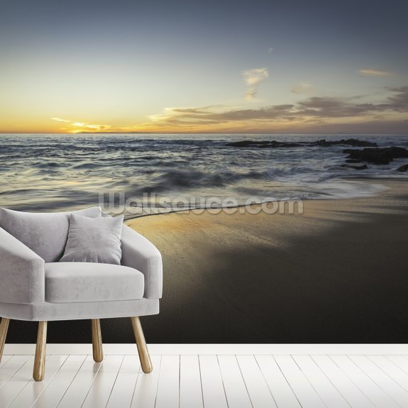 California Beach Wall Mural & California Beach Wallpaper | Wallsauce ...