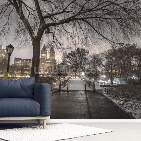 Evening view of Central Park, New York Wall Mural ...