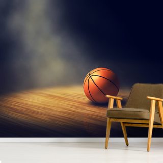 basketball wallpaper wall murals wallsauce us basketball wallpaper wall murals