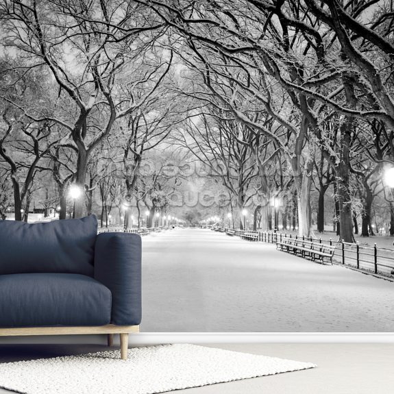 Central Park Covered in Snow Wallpaper Mural | Wallsauce UK