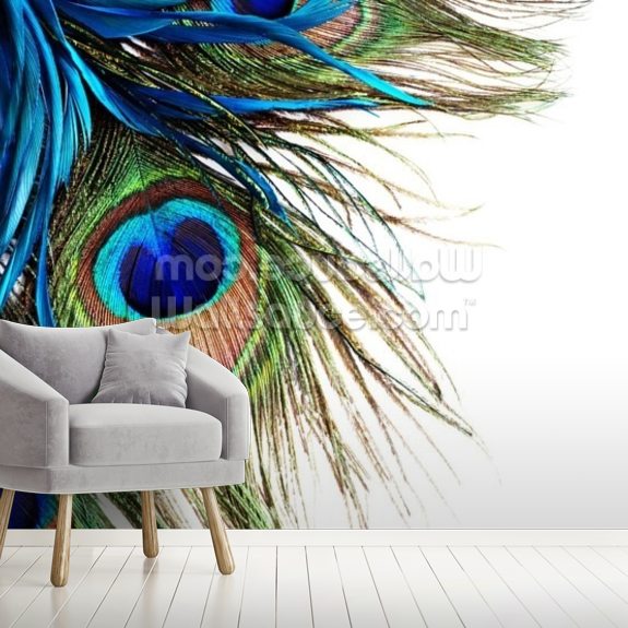 Large Peacock Feathers Wallpaper Mural | Wallsauce US